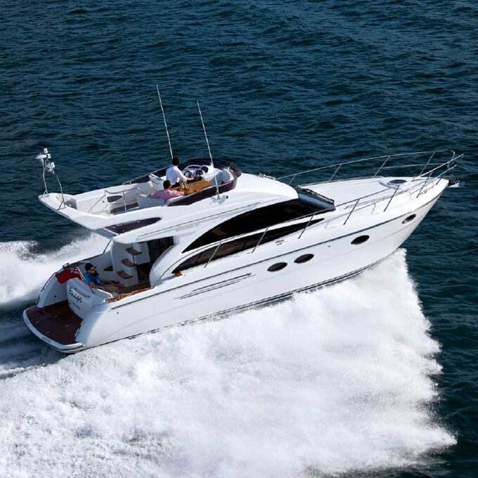 360 VR Virtual Tours of the Jelly Bear