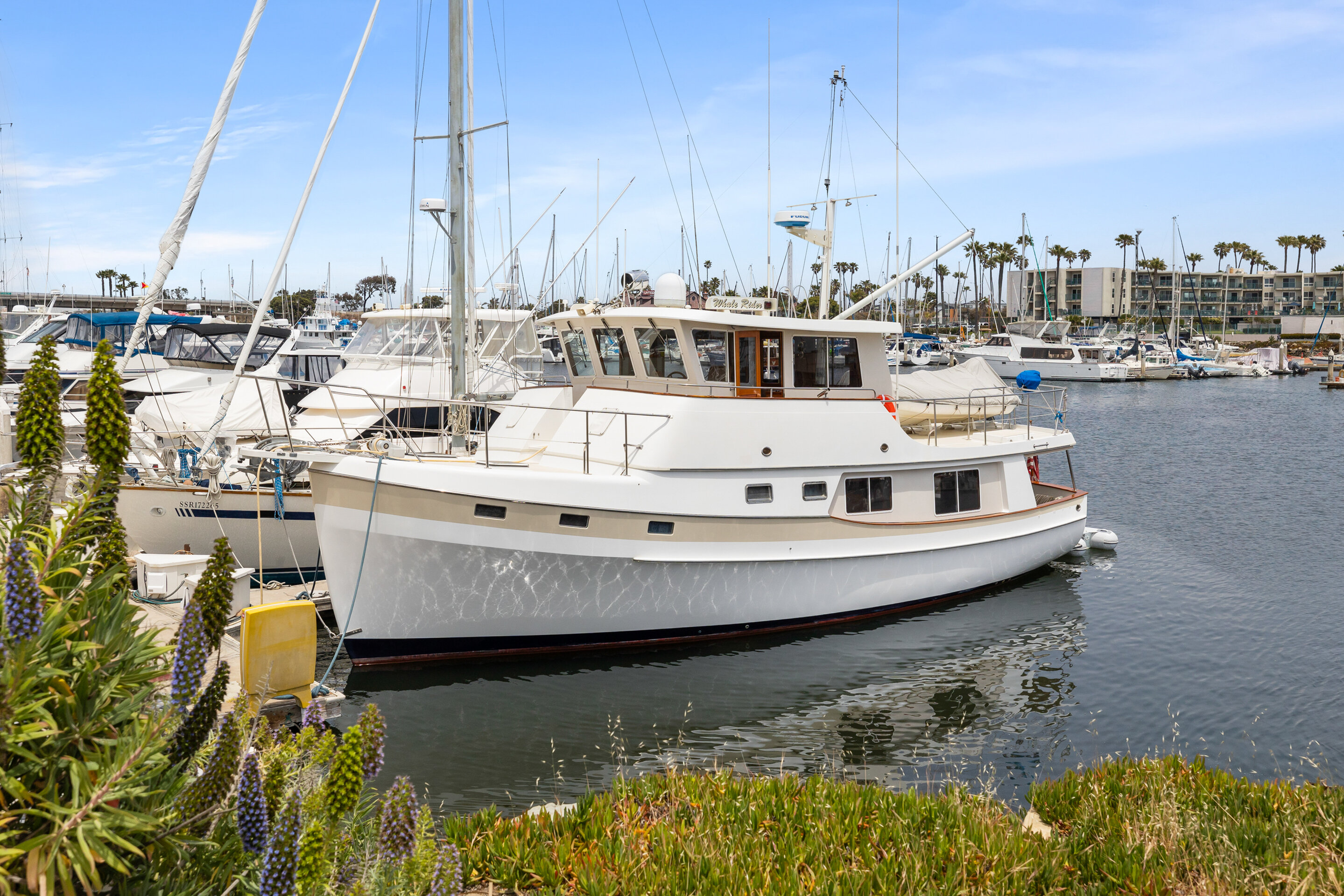 360 VR Virtual Tours of the Whalerider